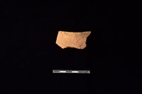 藏品(陶片)的圖片